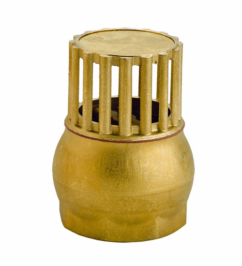 1 1/2" Foot Valve & Filter 402-1054